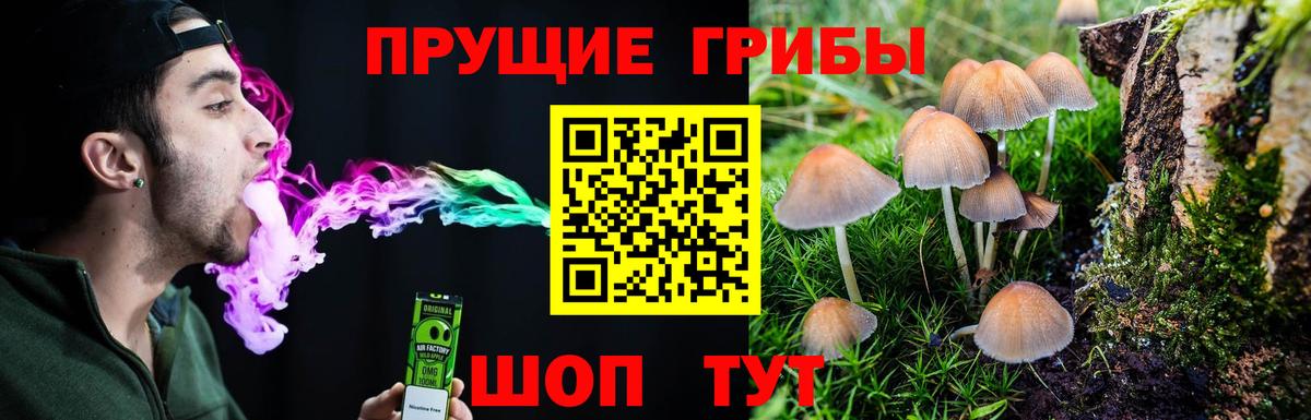 Санкт-Петербург  Псилоцибиновые грибы Psilocybine cubensis  сколько стоит  Вход с VPN  Галлюциногенные грибы прущие грибы 